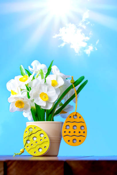Daffodils and Easter eggs decoration on a blue sky background with sunbeams. Easter eggs decoration with artificial narcissus (daffodil) flowers. Blue sky background with beautiful sunbeams, space for copy. artificial flower stock pictures, royalty-free photos & images