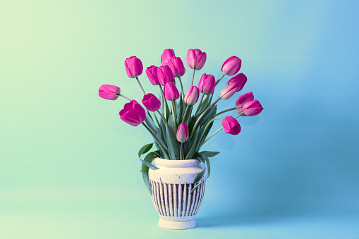 Spring bouquet of fresh tulip flowers  and large white meringues on grey table.