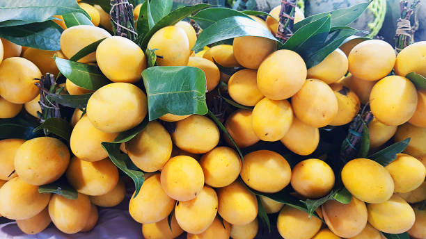 istock Maprang thai fruit  for sale in supermarket, Plum Mango, tropical Thai fruit,  Mayongchid, Fresh ripe Marian Plum, Food available to everyone. 1309727698