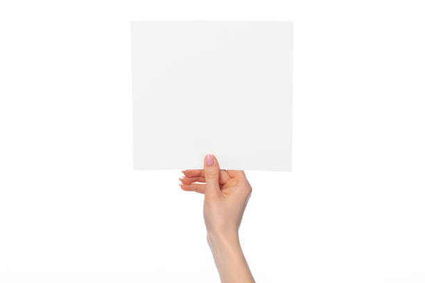istock Woman's hand showing white paper banner isolated on white 1309729904