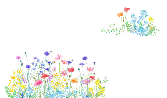 A watercolor illustration of a spring field where various flowers are in full bloom. Two-corner decorative frame design.Watercolor trace vector. The layout of each plant can be changed.