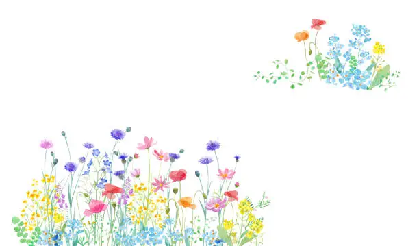 Vector illustration of A watercolor illustration of a spring field where various flowers are in full bloom. Two-corner decorative frame design.