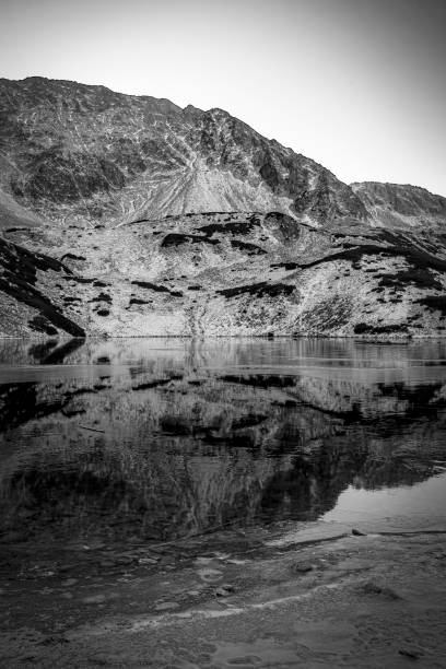 istock Vertical monochrome view of Tatra Mountains 1309731467