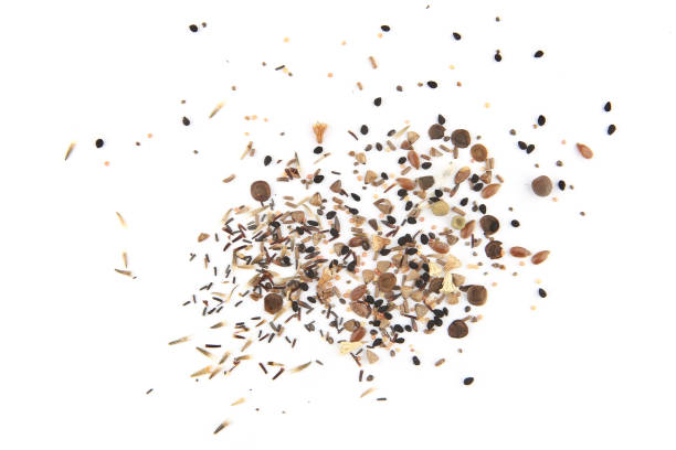 istock Variuos flowers seeds isolated on white background. 1309732945