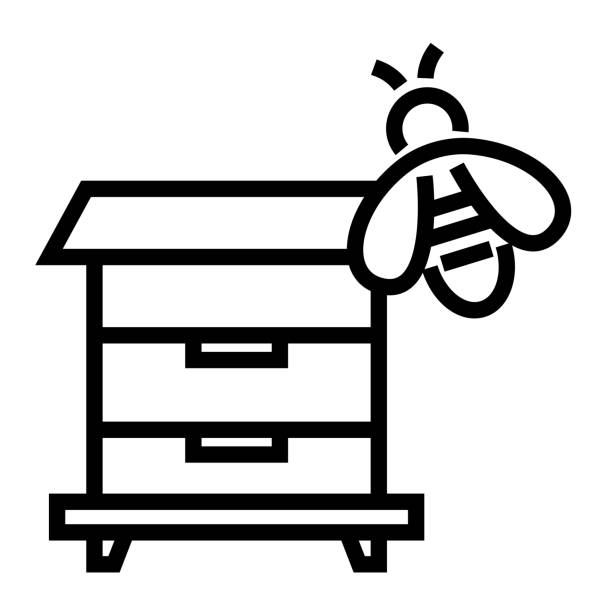 Apiculture Line Icon, Outline Symbol Vector Illustration Apiculture Line Icon, Outline Symbol Vector Illustration beehive stock illustrations