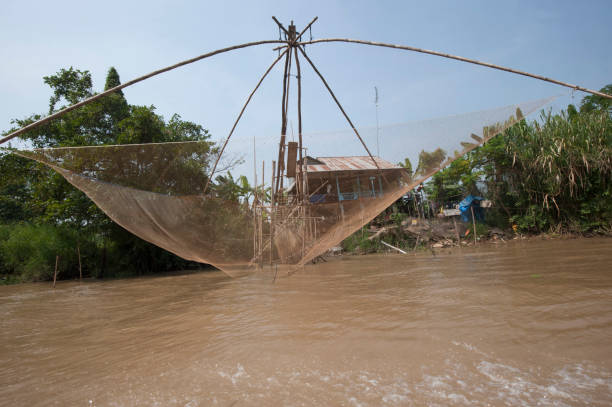 ловить рыбу на береговой линии в меконге, вьетнам - меконг реки стоковые фото и изображения