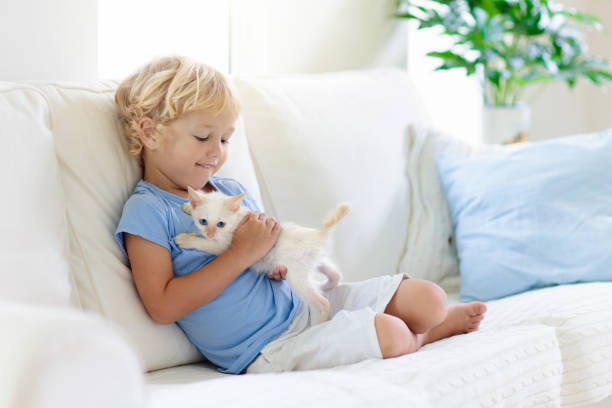 istock Child playing with baby cat. Kid and kitten. 1309733423