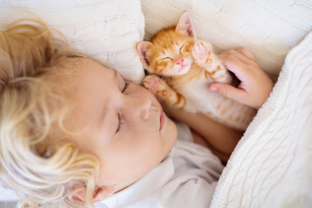 niño durmiendo con gatito. niño y gato. - domestic cat child little girls kitten fotografías e imágenes de stock