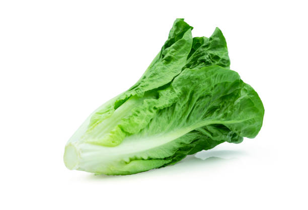 istock Fresh green Lettuce leaves, Salad leaf isolated on white background. with clipping path. 1309735944