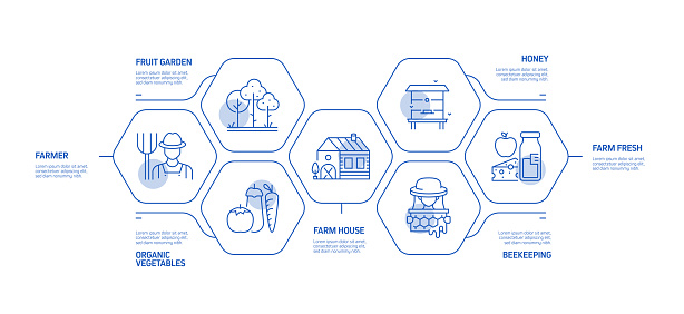 Farming And Agriculture Related Process Infographic Template Process ...