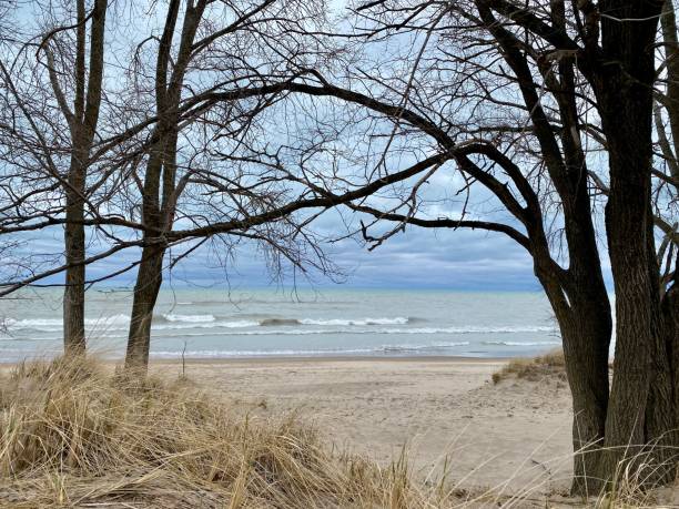 istock Path to Lake Michigan on the Illinois shore 1309737639