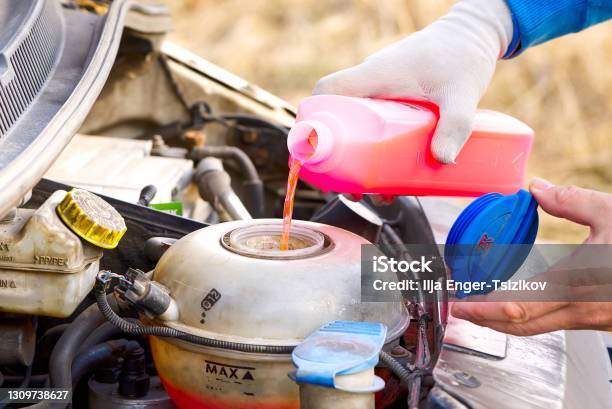 Pouring Coolant Service Of Cars Pouring Antifreeze Mechanic Fills The Coolant G12 To Tank In The Engine Stock Photo - Download Image Now