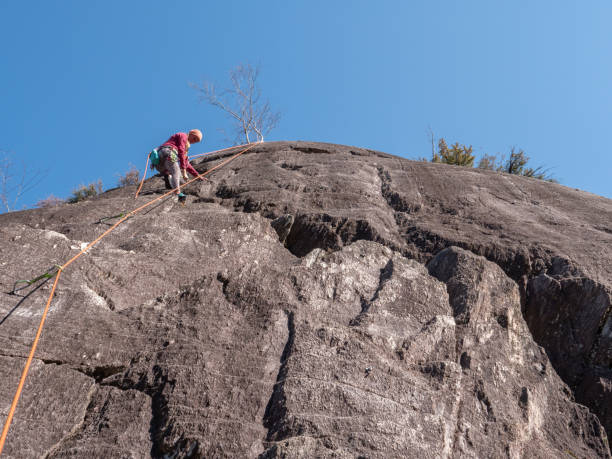 istock Mountain climber ascend rock face 1309738634