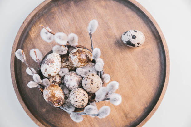 istock quail eggs and sprigs of fluffy gray willow on a wooden plate. willow branches on a white table 1309743476