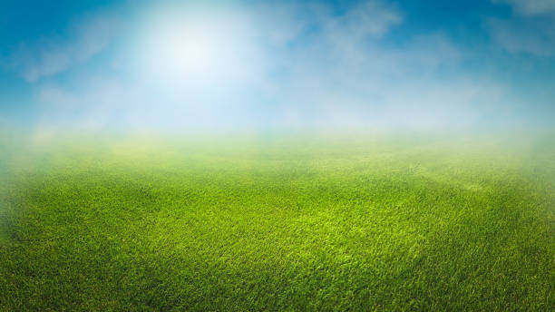 istock lawn with mist background and blue cloudy sky in background 1309743640
