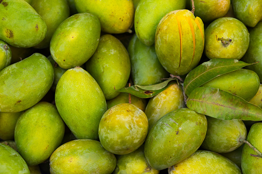 Green Mango Pictures | Download Free Images on Unsplash
