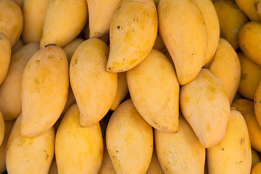 Ripe yellow thai mangos