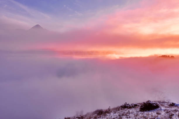 cloudy atmosphere mountains sunset - fog tree purple winter imagens e fotografias de stock