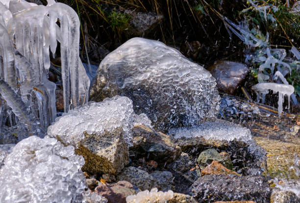 istock Water Autumn Season Cold Grass Ice 1309747242