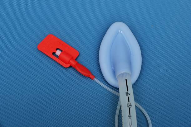 Laryngeal Airway Mask (LMA) on a blue background A laryngeal mask airway — also known as laryngeal mask — is a medical device that keeps a patient's airway open during anaesthesia or unconsciousness. It is a type of supraglottic airway device. larynx stock pictures, royalty-free photos & images