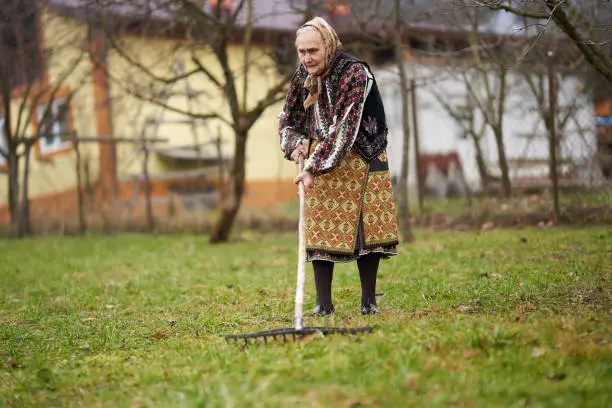 Photo of Old farmer woman cleaning with a rake