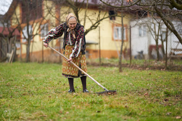 istock Old farmer woman cleaning with a rake 1309754922