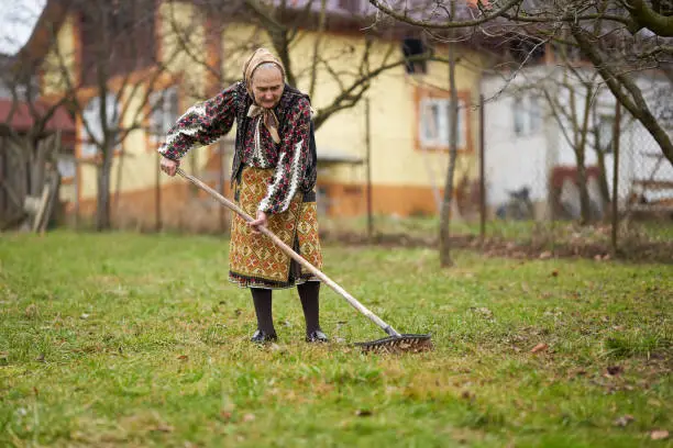 Photo of Old farmer woman cleaning with a rake