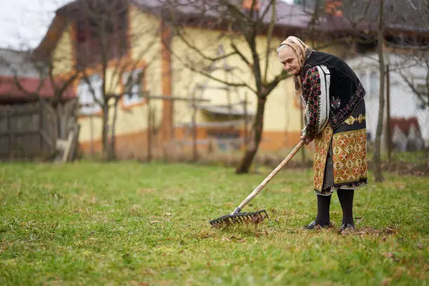 Photo of Old farmer woman cleaning with a rake