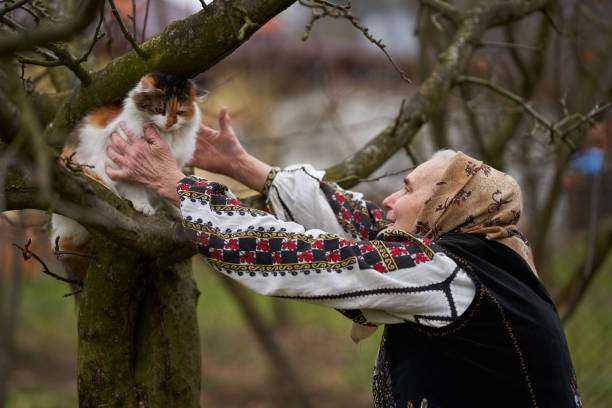 istock Old woman playing with her cat outdoor 1309755079
