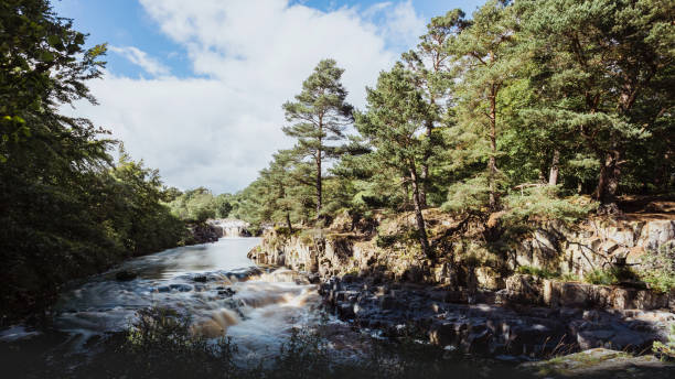 low force waterfall, bowlees tees valley, comté de durham, belle journée d’été ensoleillée - pennine way photos et images de collection