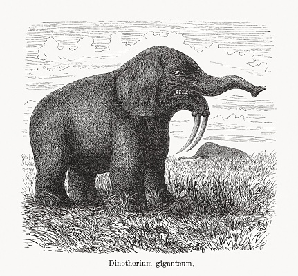 Deinotherium giganteum - large prehistoric relative of modern-day elephants that appeared in the Middle Miocene and survived until the Early Pleistocene. Wood engraving, published in 1893.