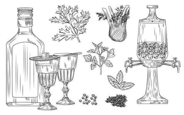 Set of absinthe. Cocktail glass and bottle, spoon, sugar, fountain, wormwood, fennel, parsley, dill, mint, coriander, anise, ice. Engraving vintage style. Set of absinthe. Cocktail glass and bottle, spoon, sugar, fountain, wormwood, fennel, parsley, dill, mint, coriander anise ice Engraving vintage style vector illustration absinthe spoon stock illustrations