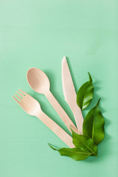 istock eco friendly wooden cutlery. plastic free concept 1309765677