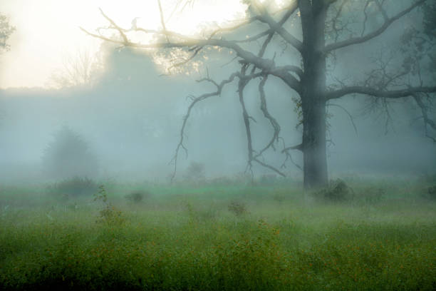 champs de gettysburg - nobody gettysburg pennsylvania mid atlantic usa photos et images de collection