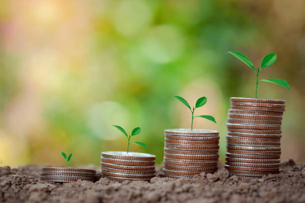 istock Seedlings are growing on coins stack, saving money concept, home, loan, plan for new born, baby, child education, how to keep money isolated on bokeh background. 1309766220