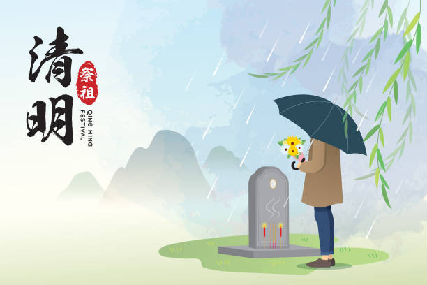 qingming oder ching ming festival - menschen mit regenschirm und blumen besuchen vorfahren grab - cemetery tombstone people flower stock-grafiken, -clipart, -cartoons und -symbole