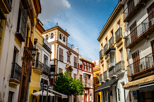 Facades of houses in a Sevillian corner. Balconies, color and orange trees.