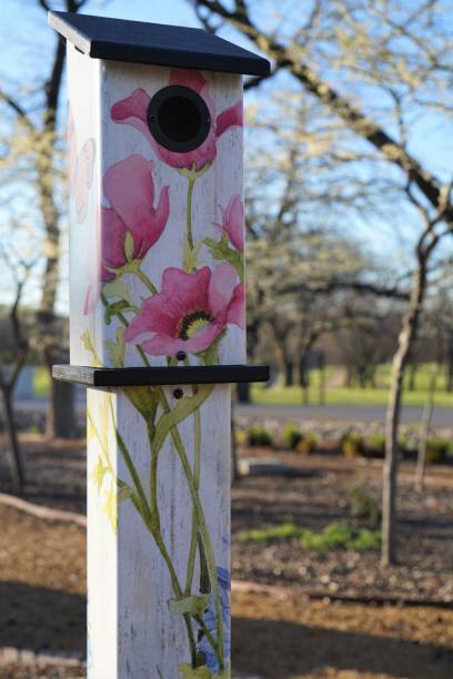 istock Birdhouse Close-up 1309771587