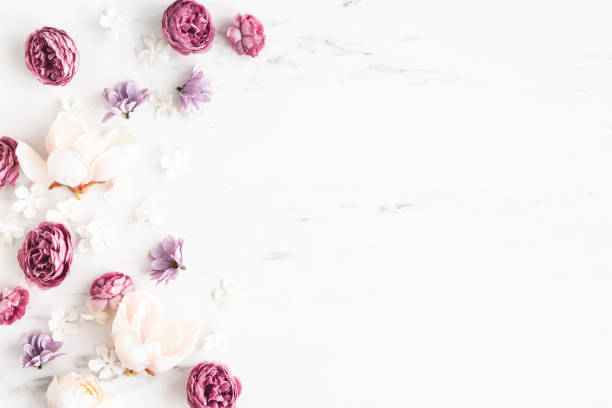 istock Flowers composition. White and purple flowers on marble background. Flat lay, top view 1309773685