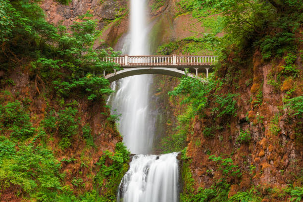 Multnomah Falls, Oregon, USA Multnomah Falls, Oregon, USA located in the Columbia River Gorge. historical geopolitical location stock pictures, royalty-free photos & images