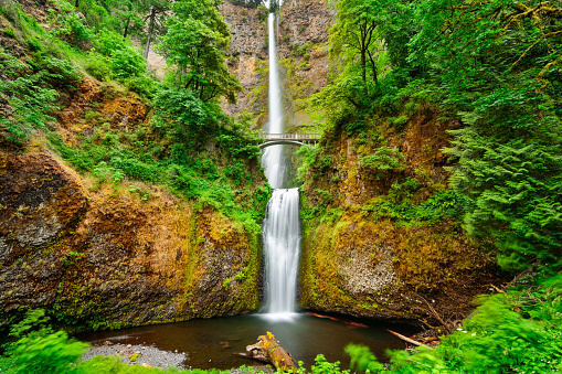Multnomah Falls, Oregon, USA located in the Columbia River Gorge.