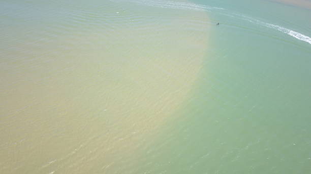 istock Tropical seawater over sandbank 1309774731