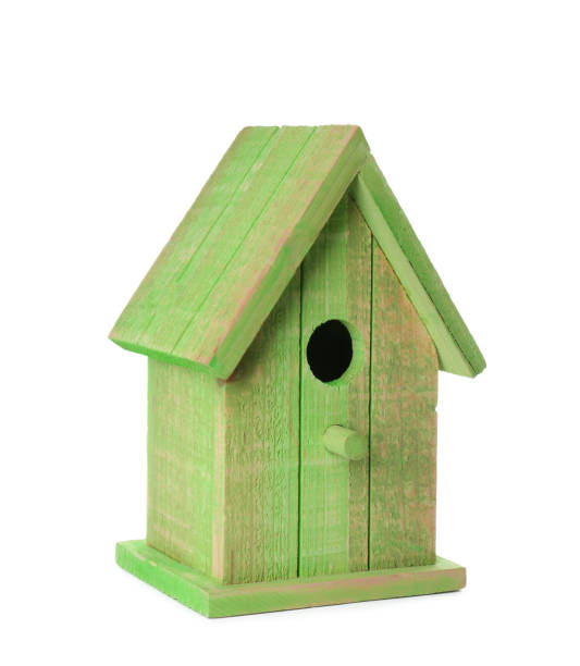istock Beautiful green wooden bird box isolated on white 1309776044