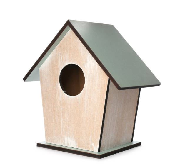 istock Beautiful wooden bird box isolated on white 1309776054