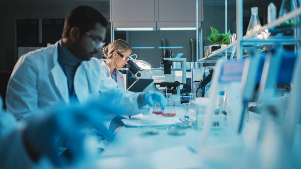 Diverse Team of Medical Research Scientists Conduct Experiments in a Modern Biological Applied Science Laboratory. Male is Checking Test Tube Samples, while Female is Using a Digital Microscope. diverso equipo de científicos de investigación médica llevan a cabo experimentos en un laboratorio moderno de ciencias biológicas aplicadas. masculino está comprobando muestras de tubo de ensayo, mientras que hembra está utilizando un microscopio dig