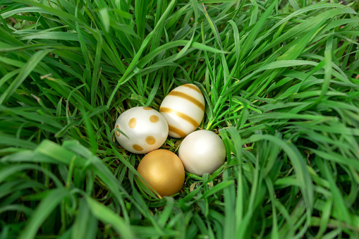 Easter. Closeup of hands and yellow chick next to eggs on a green meadow.