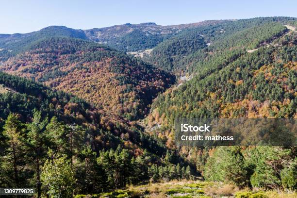 Autumn View Of Natural Park Sierra De Cebollera Spain Stock Photo - Download Image Now