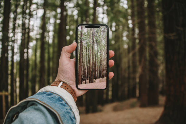 istock Taking a picture of a forest with a smart phone 1309779962