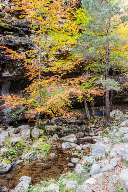 istock Natural park Sierra de Cebollera, Spain 1309780001