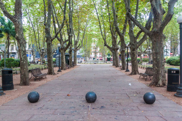 View of Plaza Matriz square in the center of Montevideo. stock photo